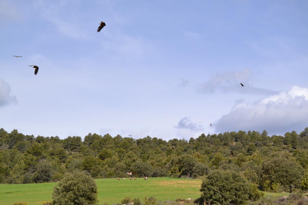 Mas De Salvador Βίλα Peñarroya de Tastavins Εξωτερικό φωτογραφία